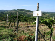 Garage Wine & Spirits :: Сastello dei Rampolla / Кастелло деи Рамполла.
